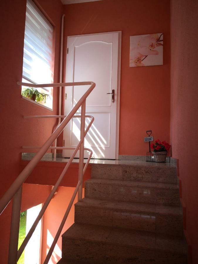 Kupola Apartman Szeged Esterno foto